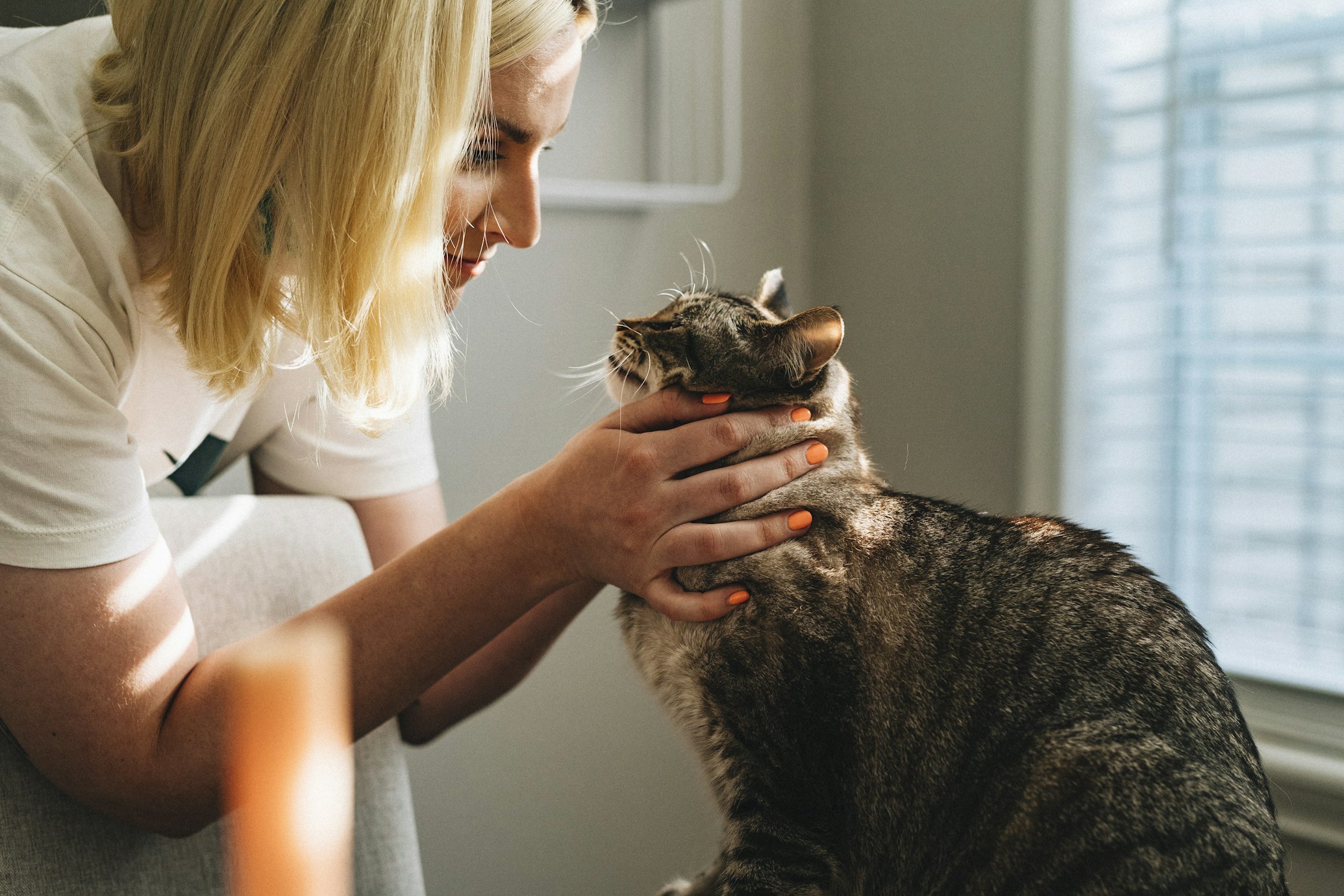 Veterinary Care